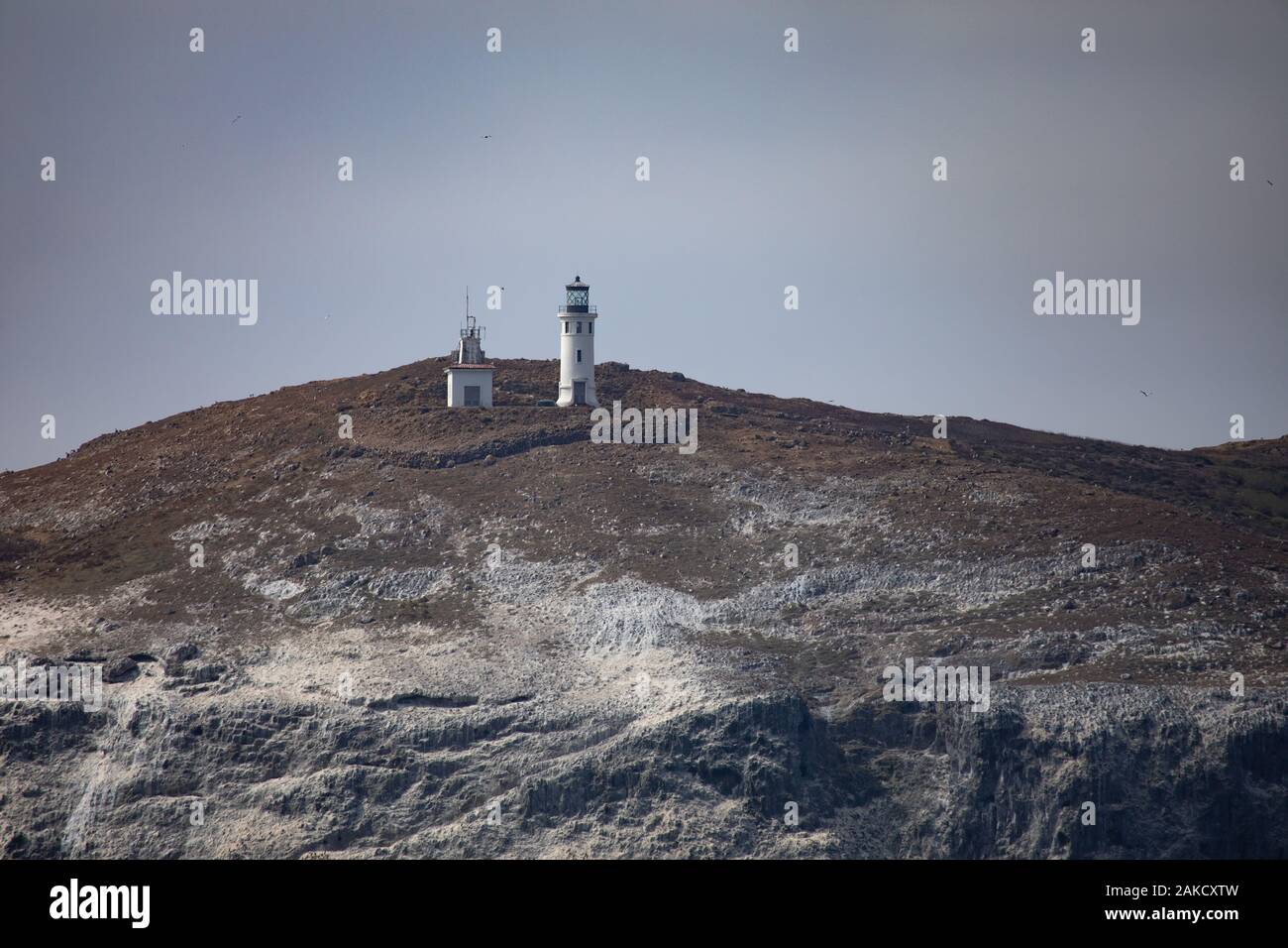 Isole del canale Foto Stock