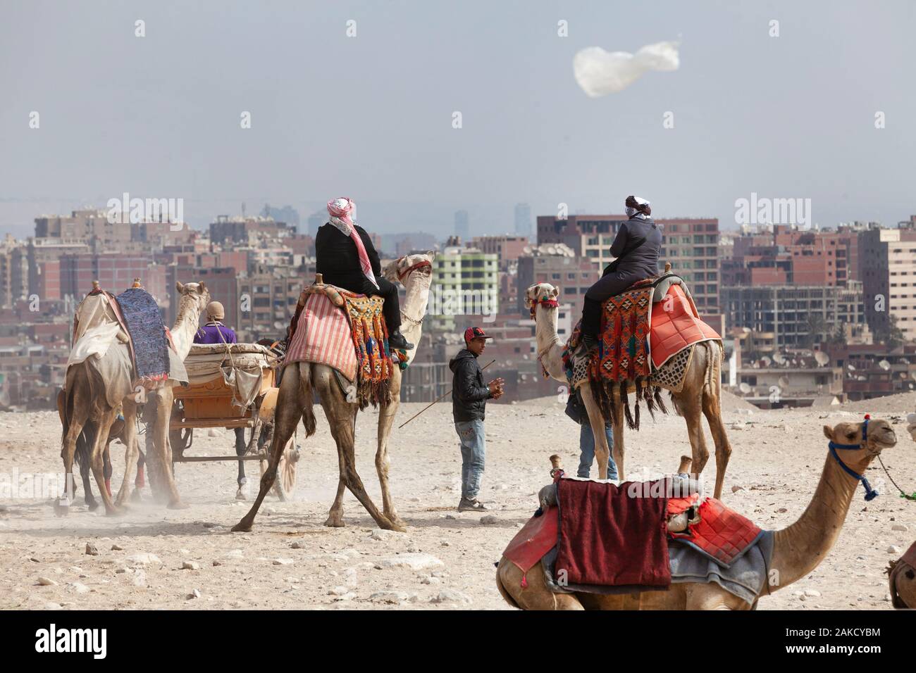 I beduini e cammelli resto vicino al sito di Giza Piramidi sullo sfondo di edifici della città del Cairo, Egitto Foto Stock