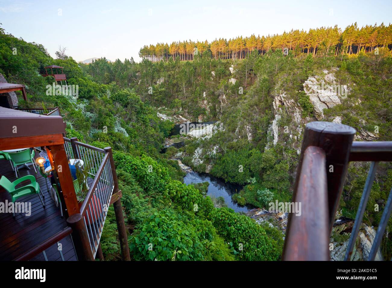 Natura a Tsitsicama capo occidentale Sud Africa Foto Stock