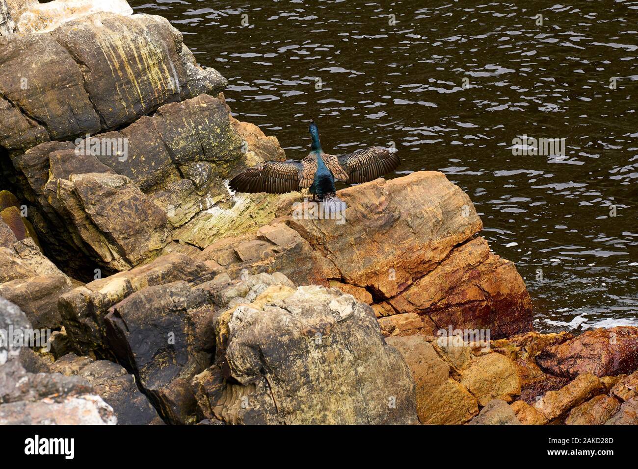 Cliffords grotta di roccia in Tsitsicama Sud Africa Foto Stock