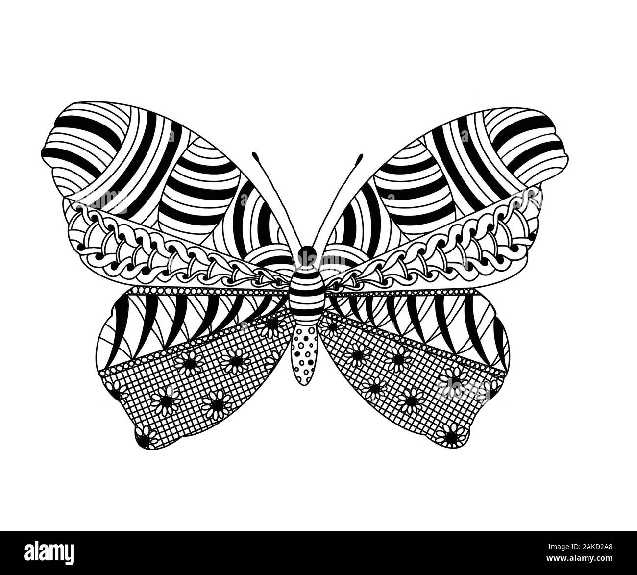 La colorazione da zentangle patterns in forma di farfalla. Applicazione in materiali stampati, creazione di pagine da colorare per bambini e adulti. Foto Stock