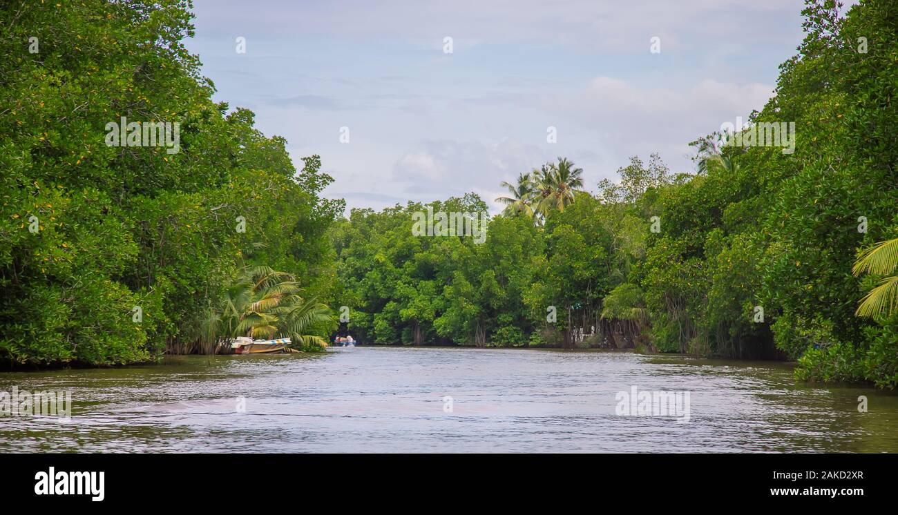 Fiume Bentota Sri Lanka barca. Messa a fuoco selettiva. la natura. Foto Stock