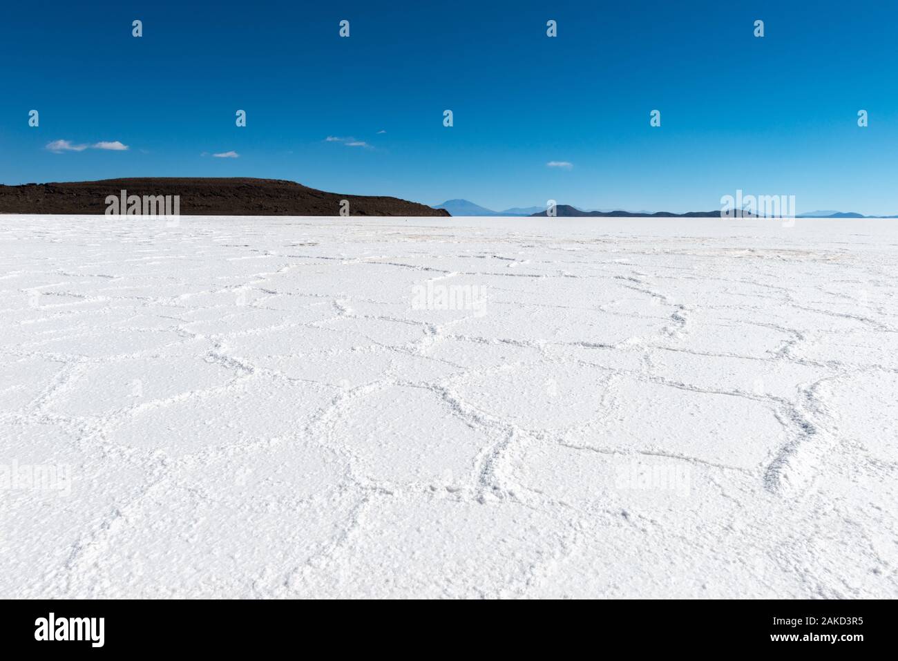 Isla Pia Pia o Pia Pia isola, Saltlake Salar de Uyuni, Dipartimento Potosi, Southwest Bolivia, America Latina Foto Stock