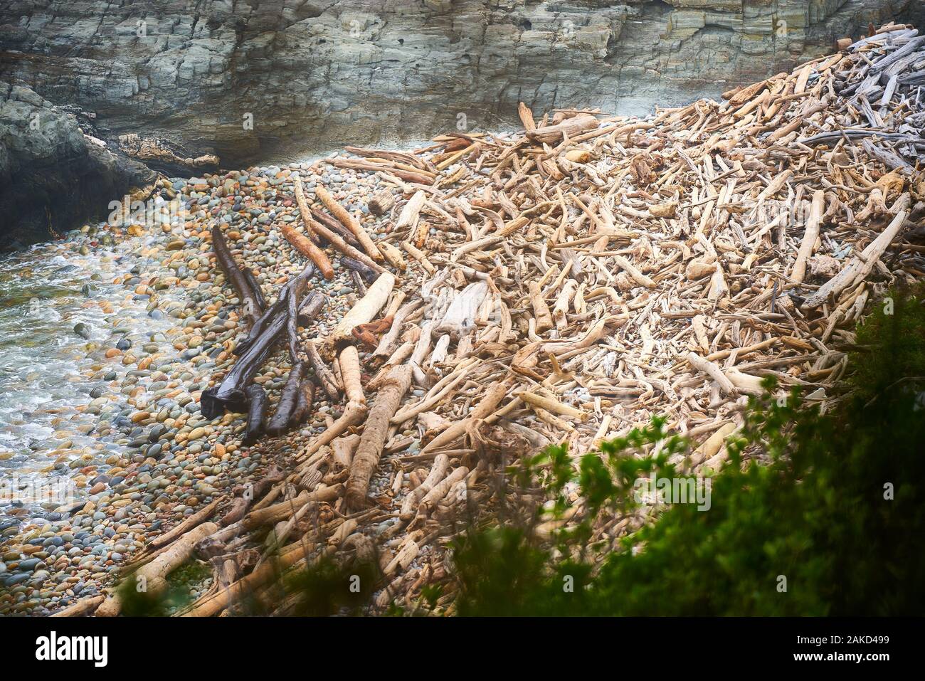 Natura e fauna selvatica in Tsitsicama Sud Africa Foto Stock