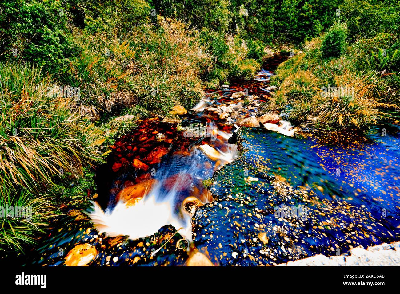 Natura in Tsitsicama Sud Africa Foto Stock