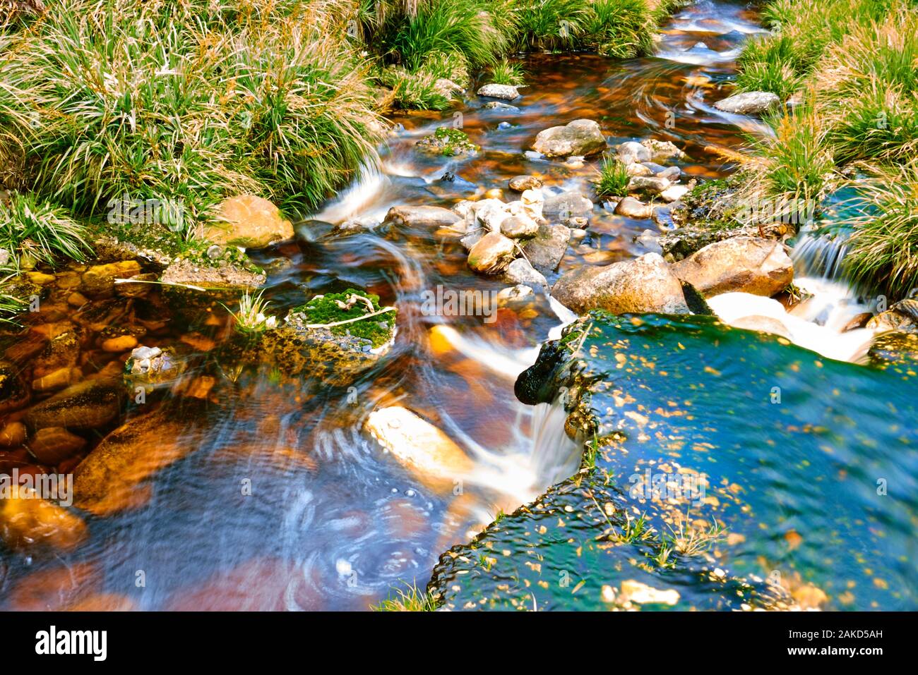 Natura in Tsitsicama Sud Africa Foto Stock