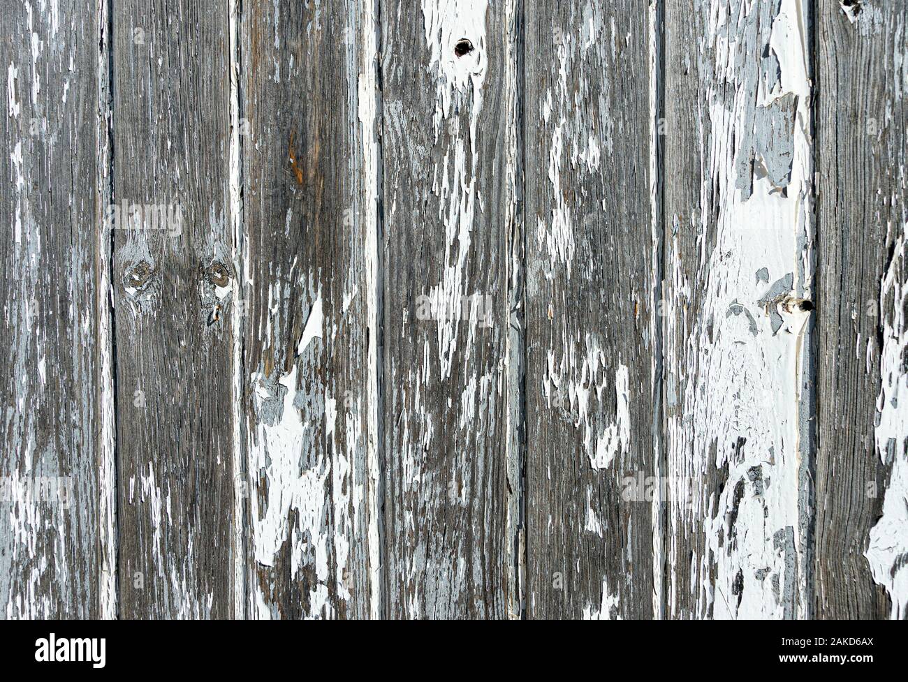 Vecchie tavole di legno con peeling vernice bianca Foto Stock
