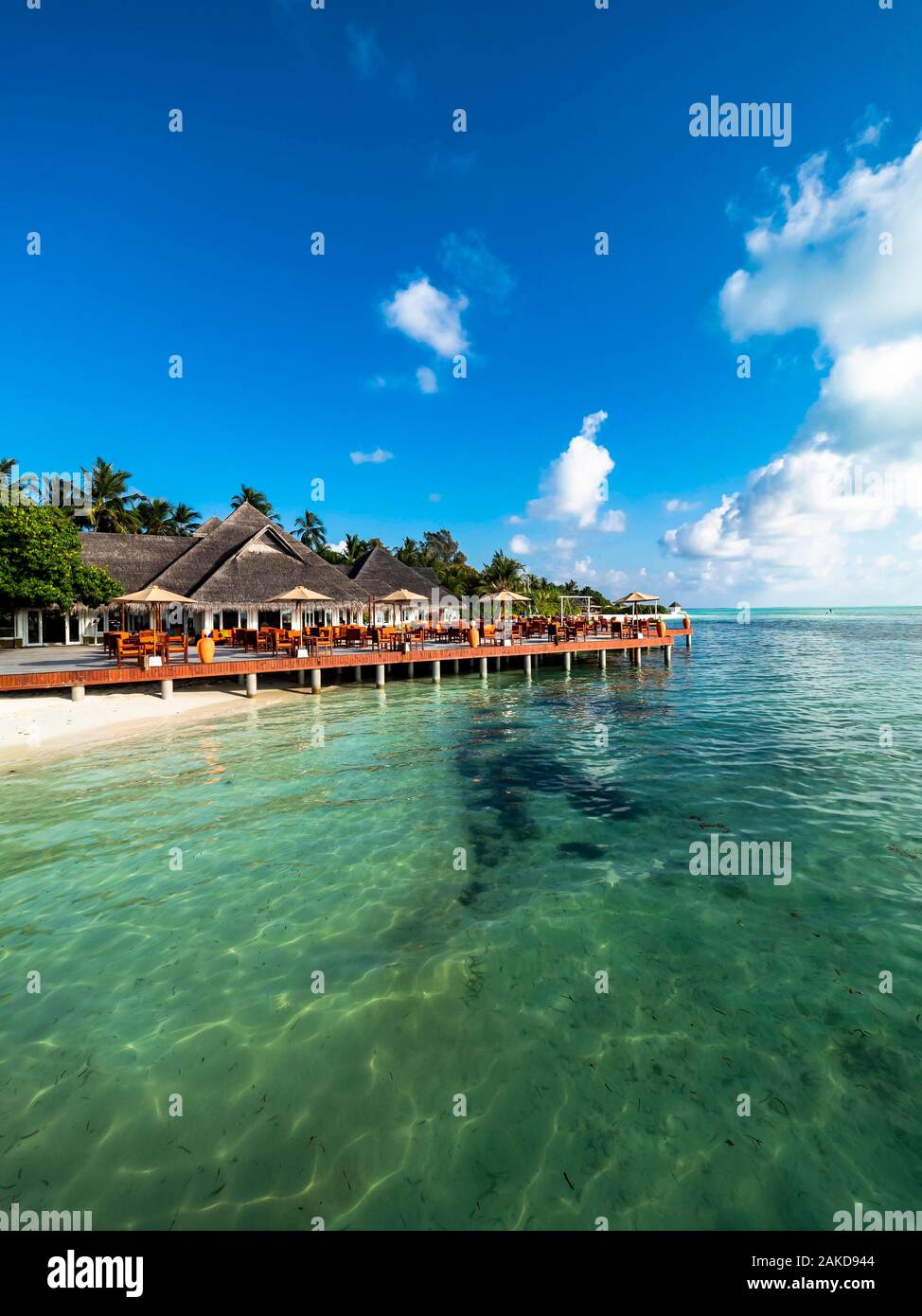 Villaggio Turistico Bungalows tra alberi di palma, isole Maldive, South Male Atoll, Maldive Foto Stock