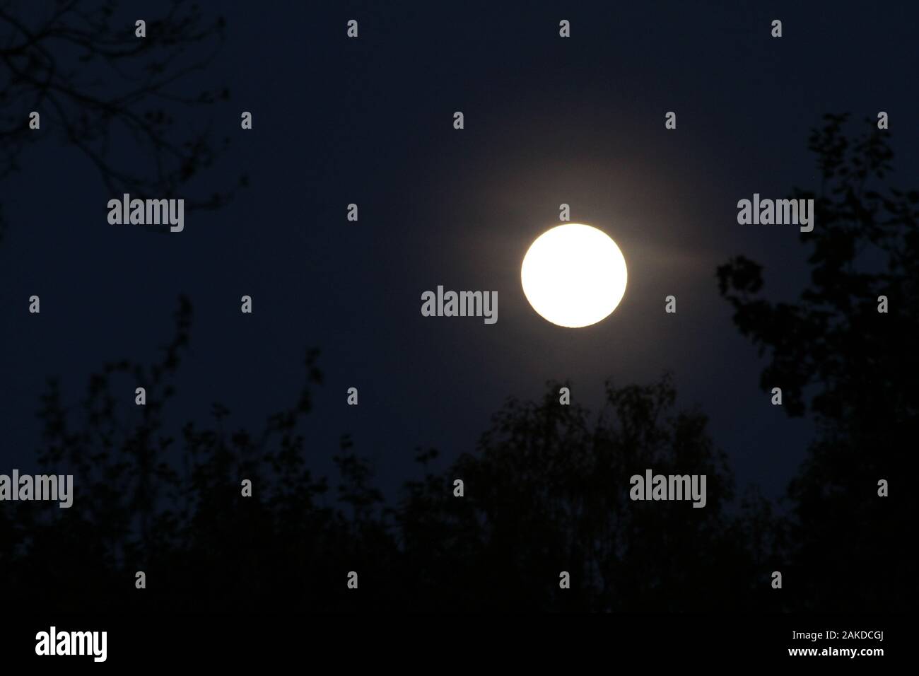 Luna piena e luminosa sul cielo notturno Foto Stock