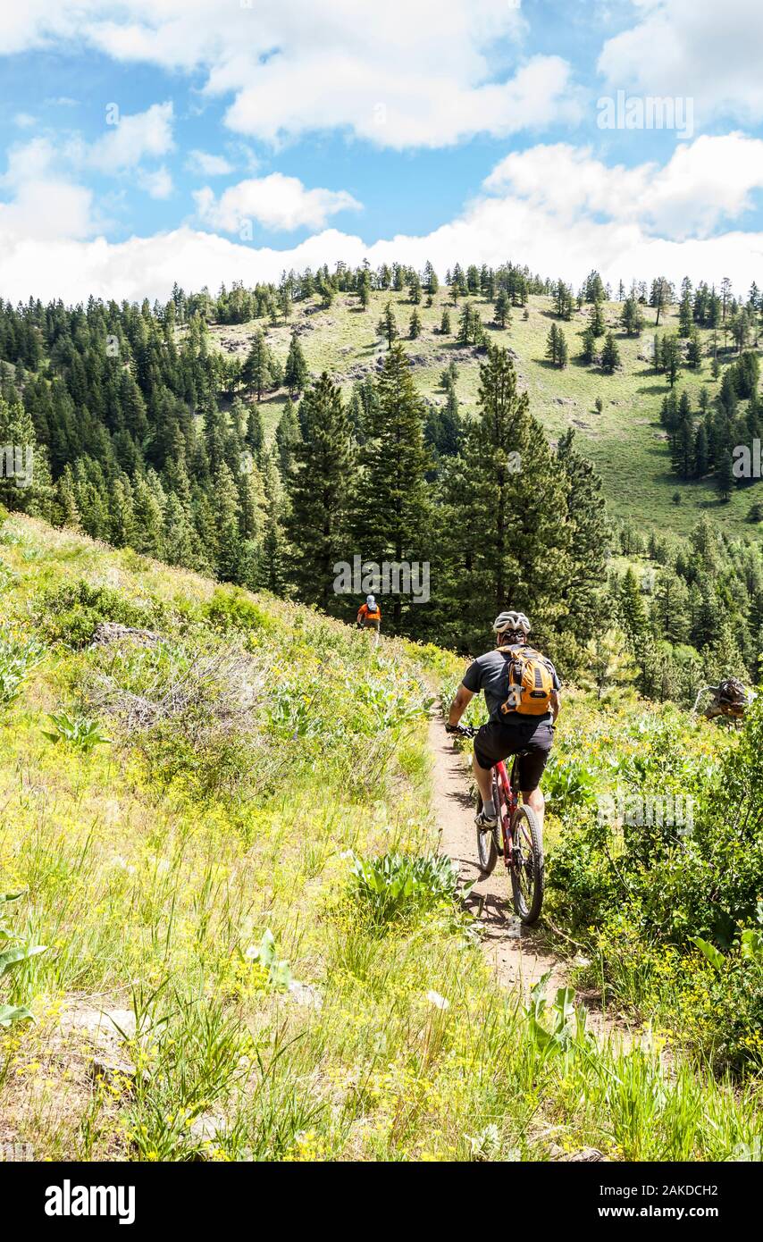 Due uomini di mezza età in mountain bike sul Monte Saraceno al di fuori di Winthrop, Washington, Stati Uniti d'America. Foto Stock