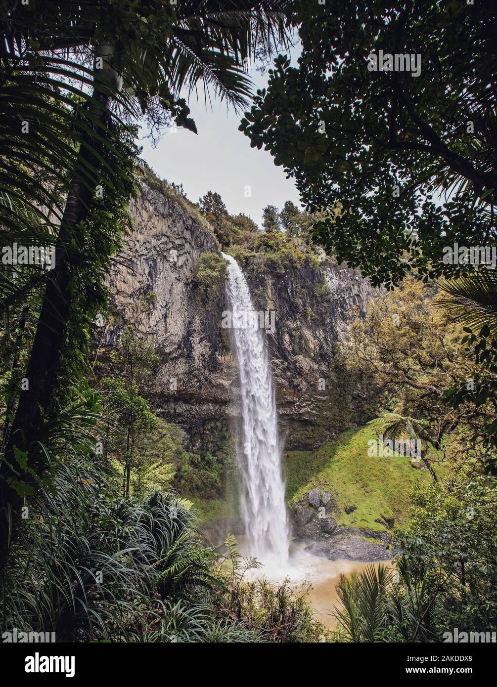 Bridal Veil Falls sull'Isola del Nord della Nuova Zelanda. Foto Stock