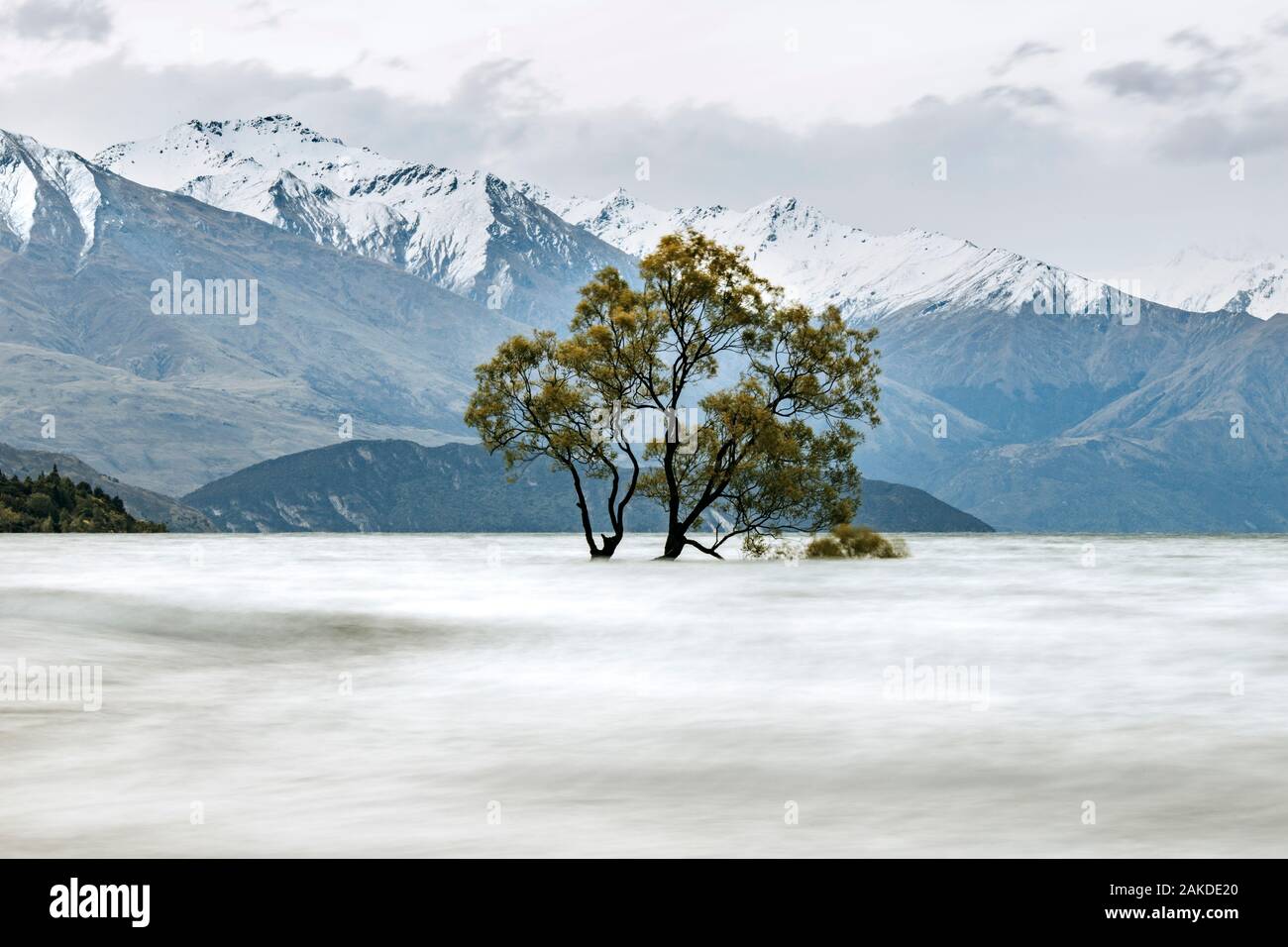 Allagato albero e neve coperto montagne sul Lago Wanaka Nuova Zelanda Foto Stock