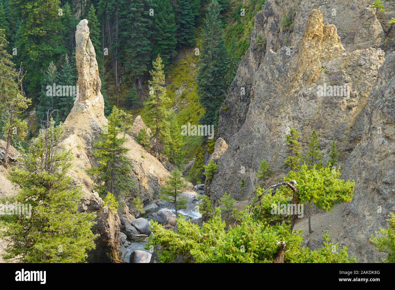 Una torre rocciosa di forma insolitamente si erge sopra il Tower Creek poco prima delle cascate. Foto Stock