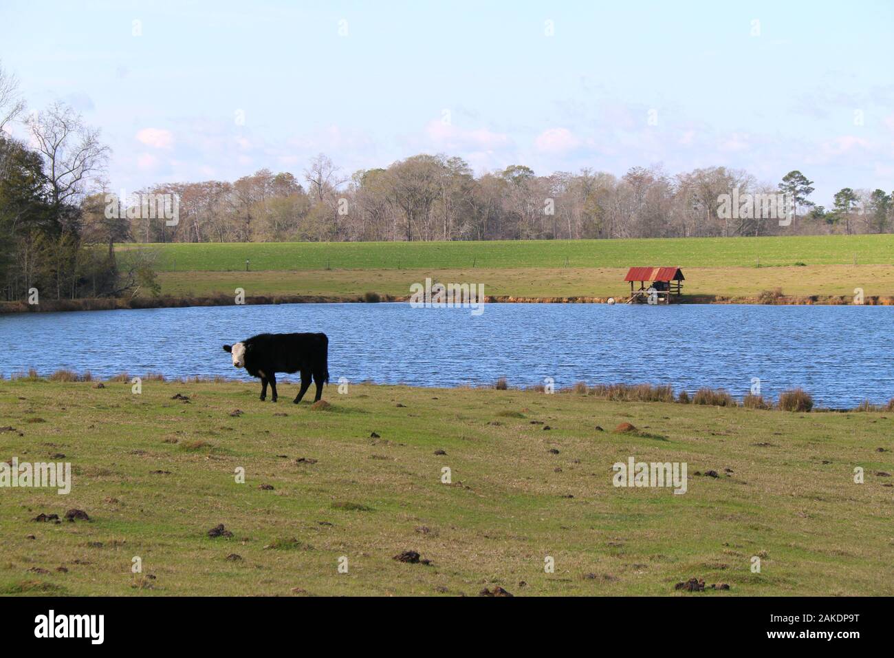 Agriturismo Lago di stagno campo stalla fienile forest Foto Stock
