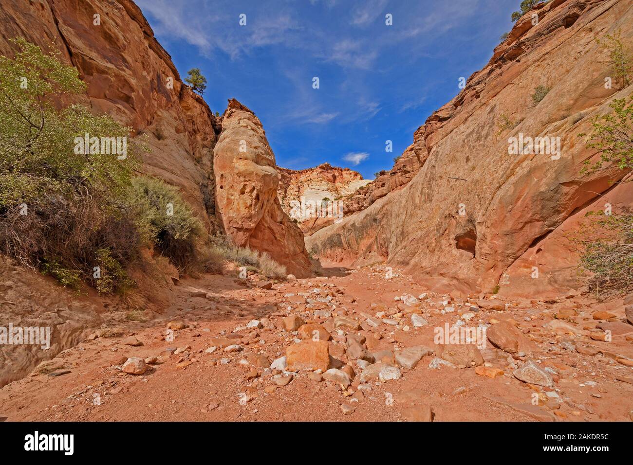 Illeggibili rocce nel deserto Streambed a Capitol Reef National Park nello Utah Foto Stock