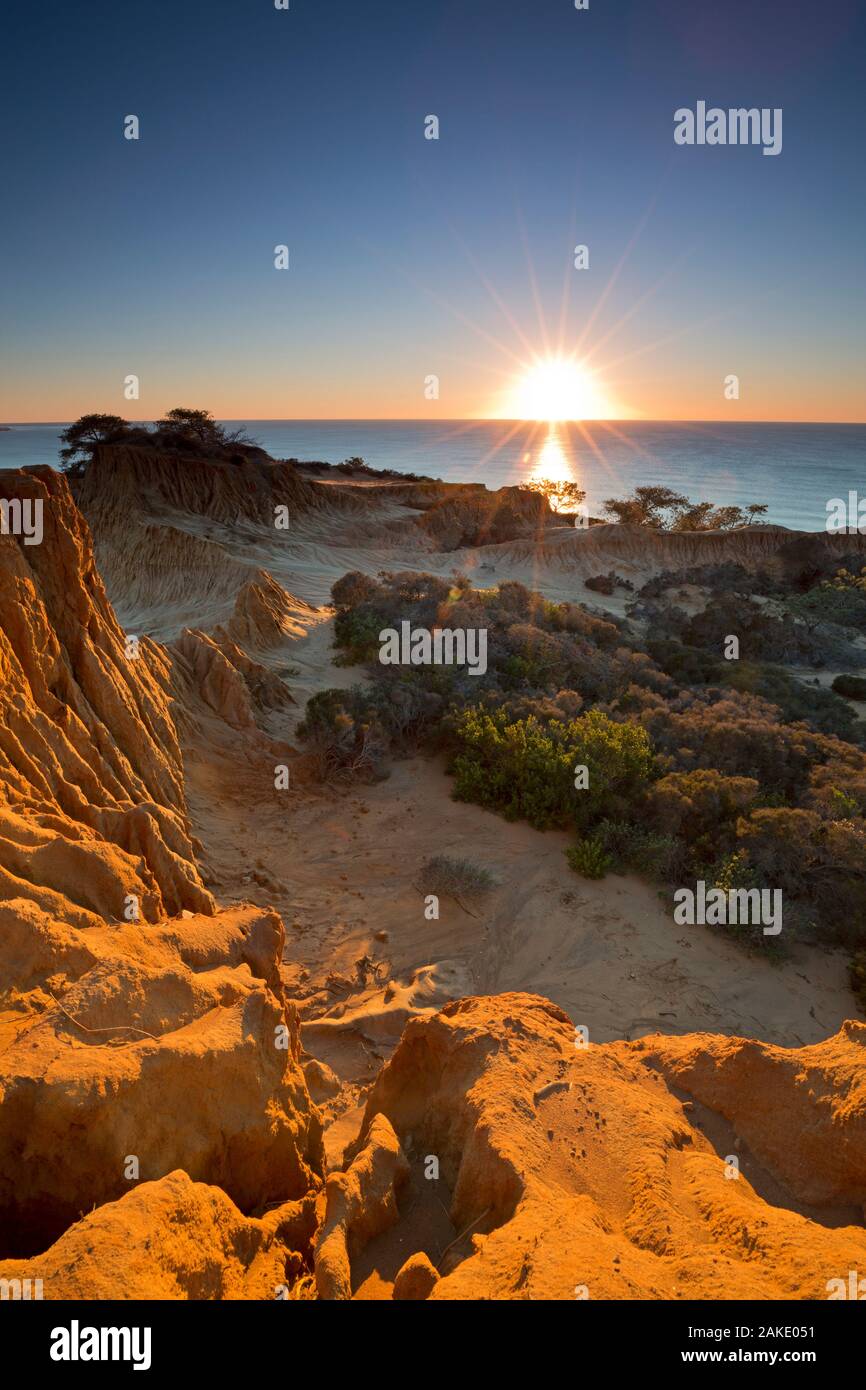 Tramonto a Broken Hill, Torrey Pines State Reserve, La Jolla, California Foto Stock