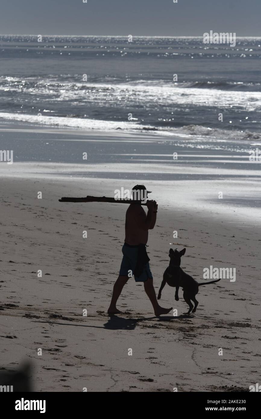 Un uomo e i suoi cani sulla spiaggia di Ventura California giocare con bastoni e una palla su un pomeriggio inverni negli Stati Uniti d'America in vacanza divertente Foto Stock
