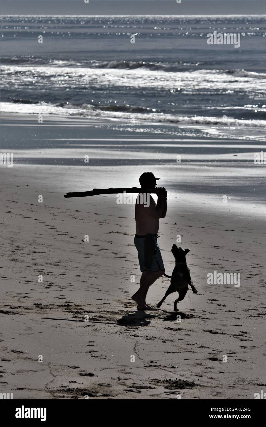Un uomo e i suoi cani sulla spiaggia di Ventura California giocare con bastoni e una palla su un pomeriggio inverni negli Stati Uniti d'America in vacanza divertente Foto Stock