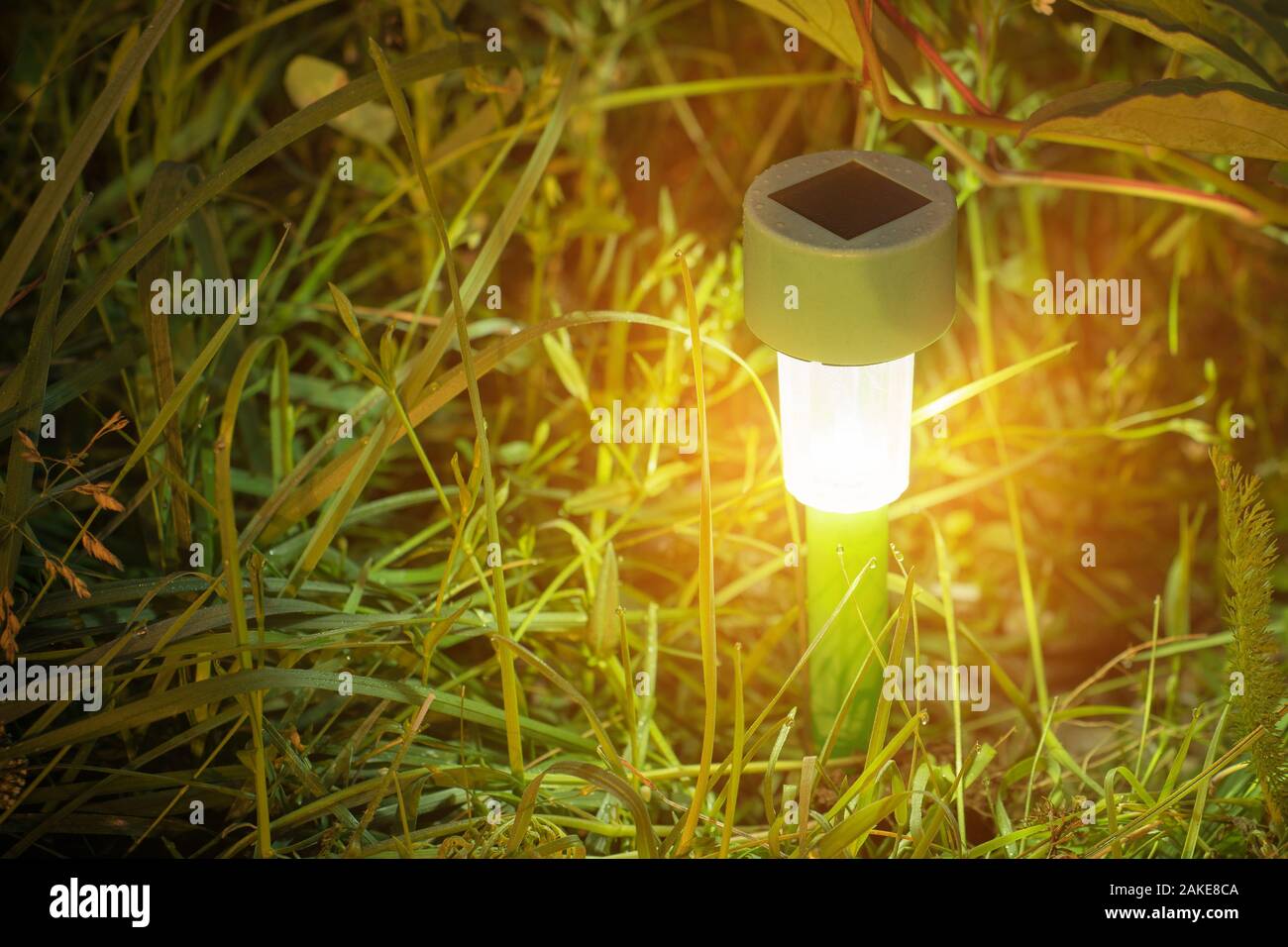 Luci da giardino con batteria solare. Closeup shot Foto Stock