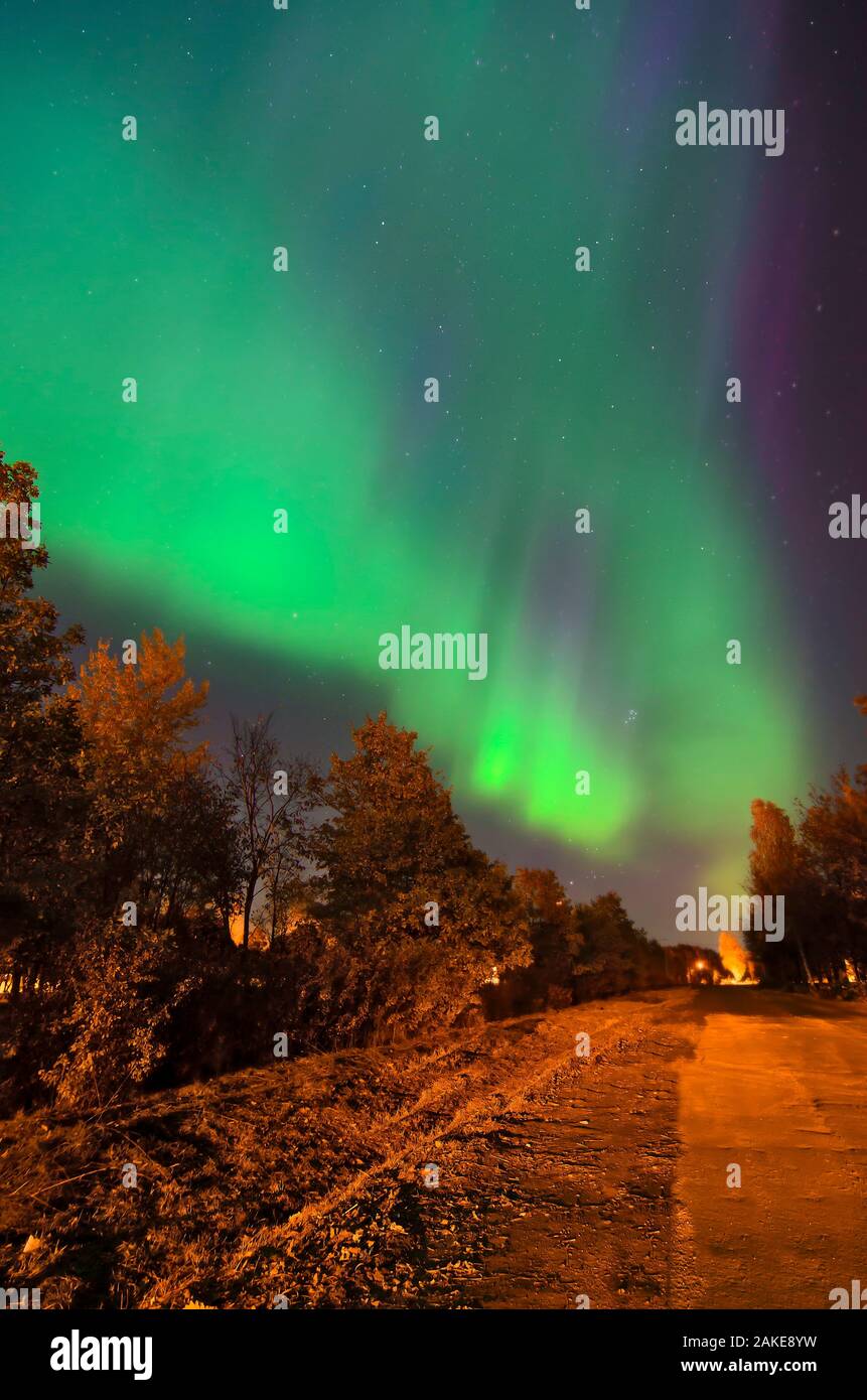 Northern lights aurora boreale al di sopra di una foresta Foto Stock