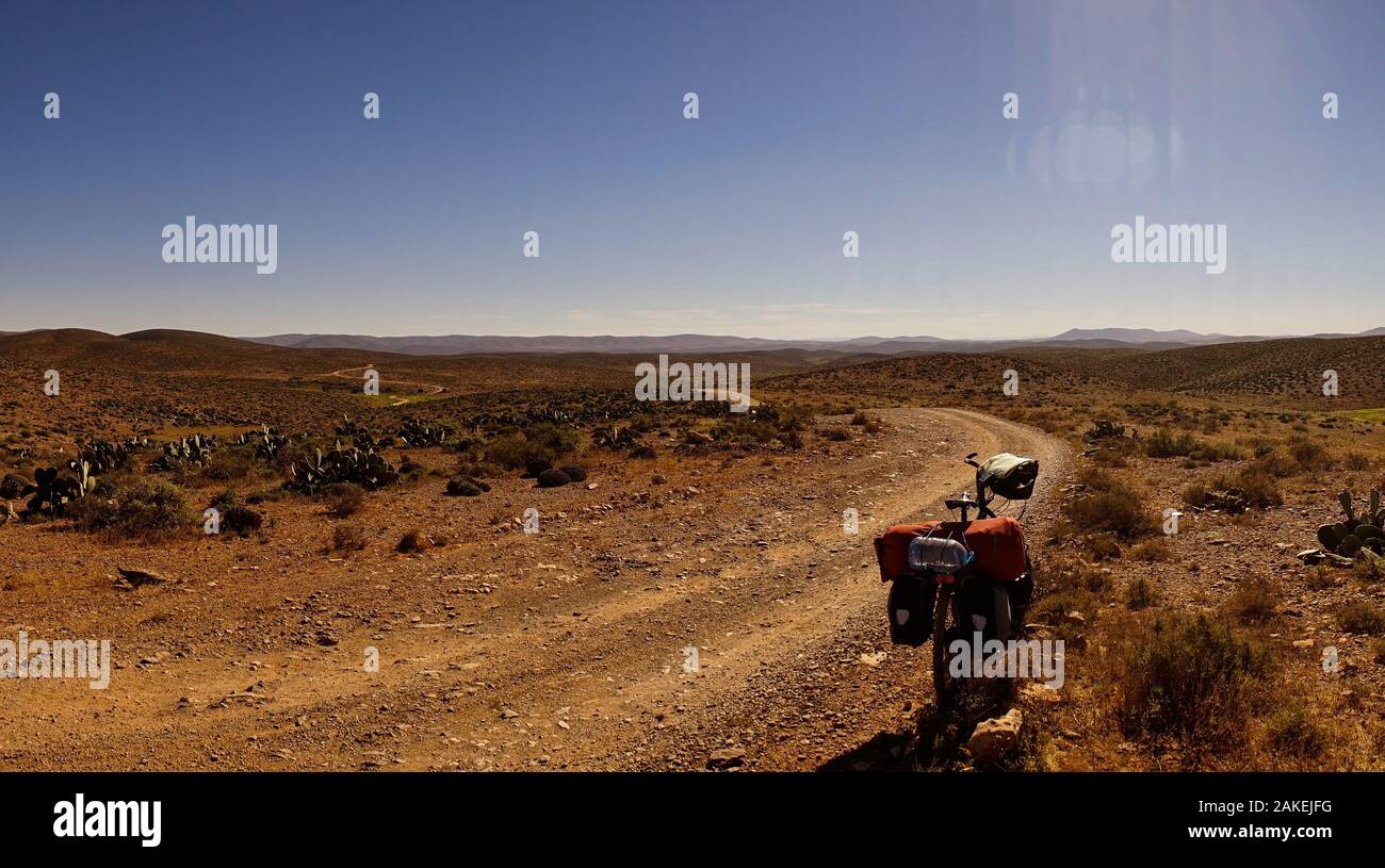 Una pista rettilinea per il sud nei pressi di sidi ifni, Marocco. la strada che conduce all'orizzonte. Un viaggio in bicicletta la parte anteriore della foto Foto Stock