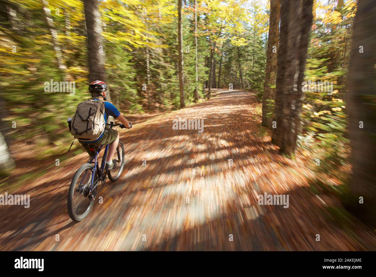 Il ragazzo corse il suo moto su una foglia coperto park road nel Parco Nazionale di Acadia, Maine, Stati Uniti d'America. Ottobre 2013. Modello rilasciato. Foto Stock