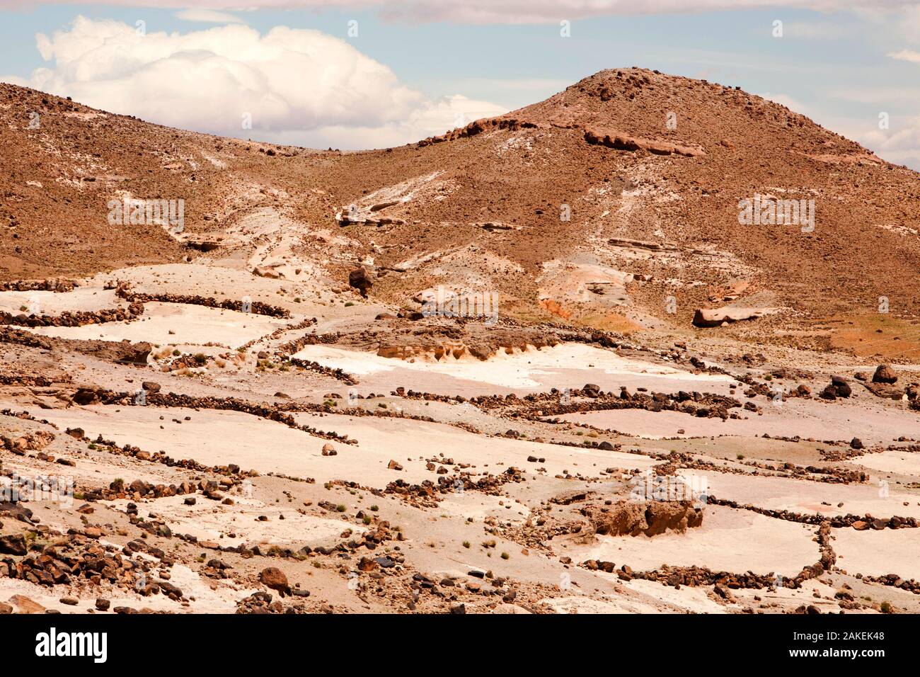 Terrazze di campo al di sopra di un villaggio Berbero in Anti atlante del Marocco, Africa del Nord. Aprile 2012. Negli ultimi anni le precipitazioni totali sono ridotti di circa il 75% come risultato dei cambiamenti climatici. Foto Stock