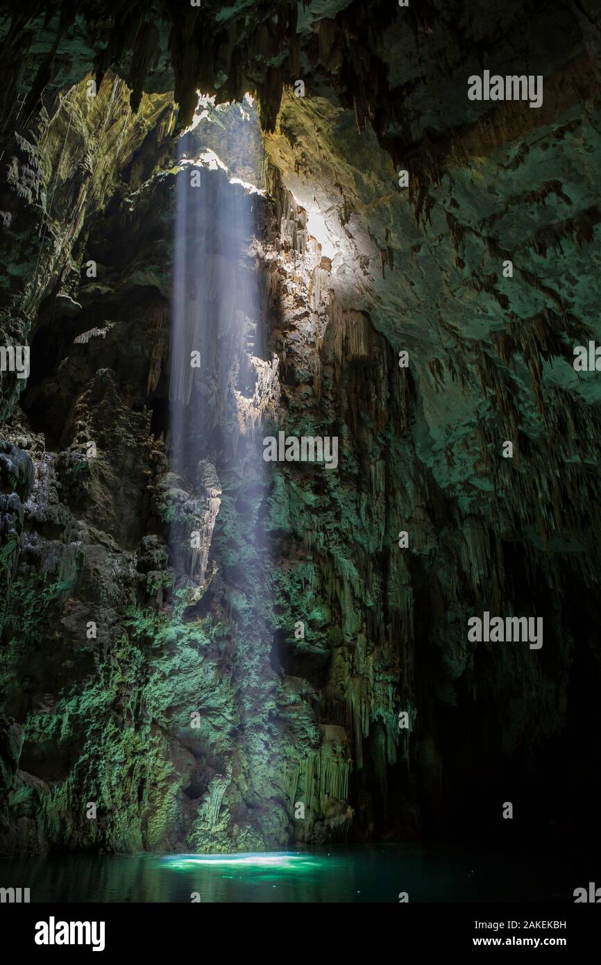 Luce che risplende in Abismo Anhumas o Anhumas abisso. Si tratta di un 80 metri profondo lago, in corrispondenza del fondo di un 72 metri, profonda grotta. Area di Bonito, Serra da Bodoquena (Bodoquena Mountain Range), Mato Grosso do Sul, Brasile, novembre 2017. Fotografato per il progetto di acqua dolce Foto Stock