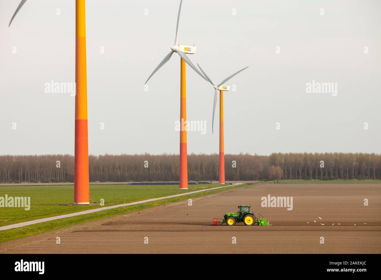 Colorato turbine eoliche in polder, terra recuperata nei pressi di Almere, Flevoland, Paesi Bassi. Maggio 2013 Foto Stock