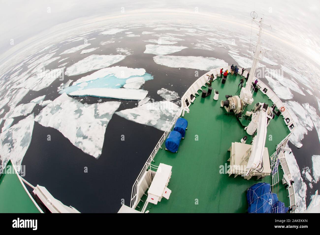 La ricerca russo nave AkademiK Sergey Vavilov un rafforzamento di ghiaccio nave per una crociera spedizione al nord delle Svalbard, Norvegia, Luglio 2013 Foto Stock