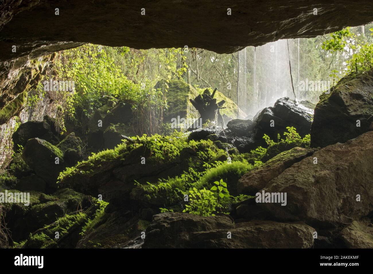 Kitum cave immagini e fotografie stock ad alta risoluzione - Alamy