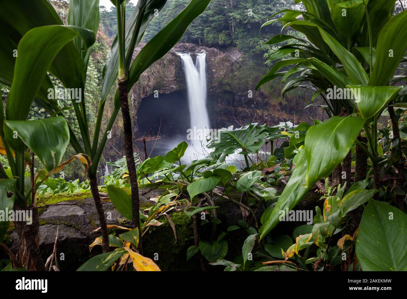 Rainbow Falls / Waiānuenue vista inquadrato da foresta pluviale fogliame, Hilo, Hawaii. Dicembre 2016. Foto Stock