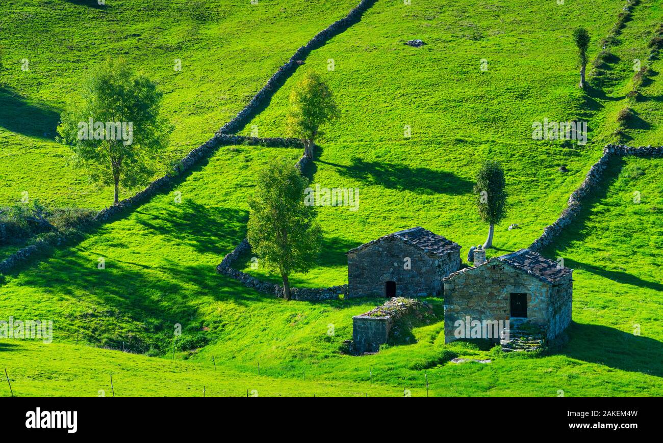 Il Cabana pasiega edifici e prati, Miera Valley, Valles Pasiegos, Cantabria, Spagna. Ottobre, 2017. Foto Stock