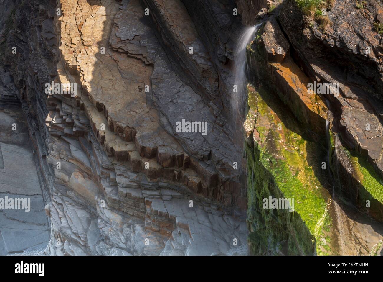 Letti inclinato di età carbonifero, Culm misure (Bude Formazione) Sandy Mouth, vicino a Bude, Cornwall, Regno Unito, maggio Foto Stock