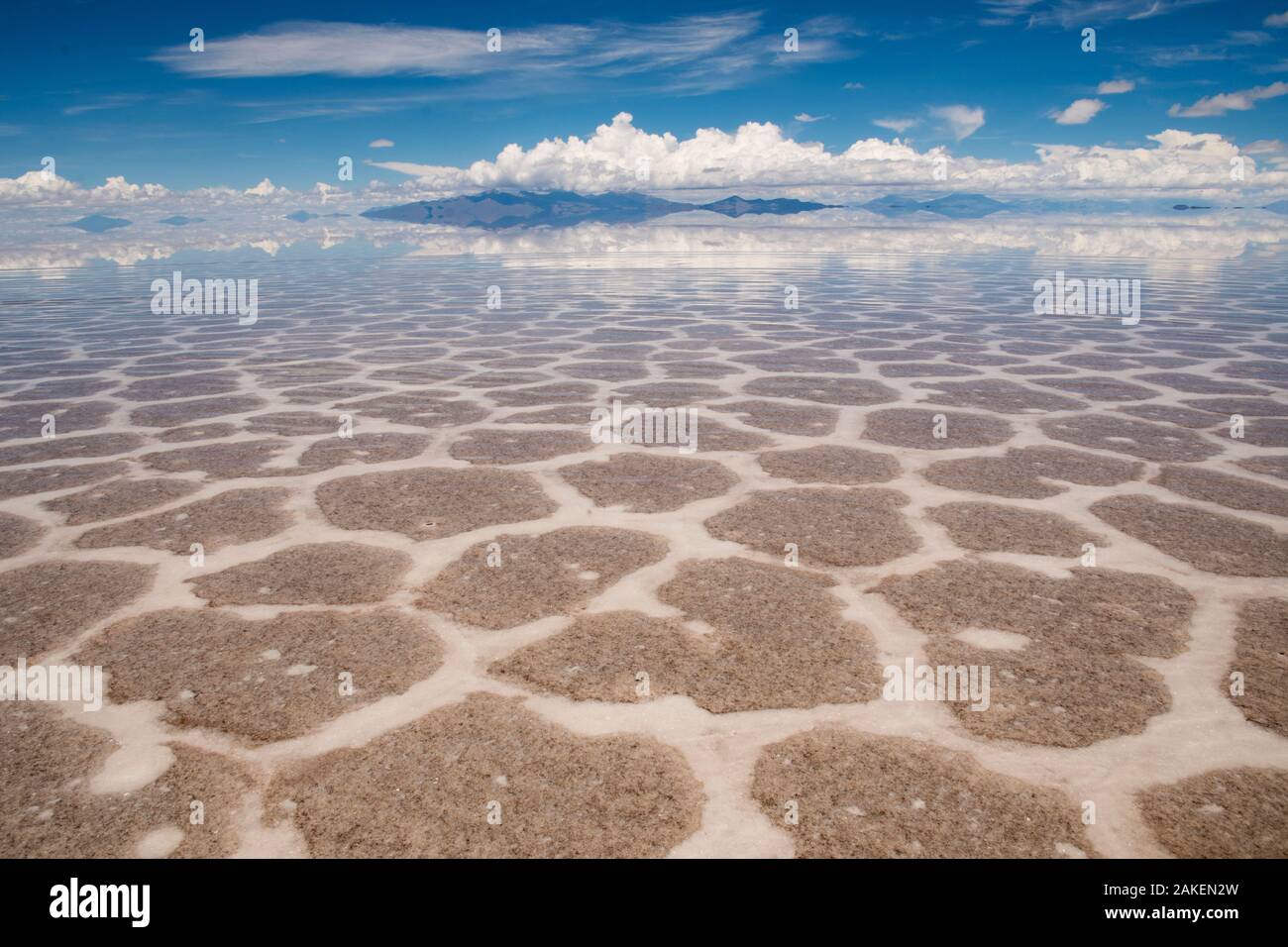 Salar de Uyuni distesa di sale, il Deserto di Atacama, Altiplano / altopiano andino. Daniel Campos Provincia, Potosi, Bolivia. Marzo 2017. Foto Stock