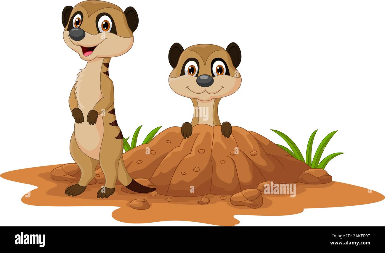 Cartoon due meerkats su sfondo bianco Illustrazione Vettoriale