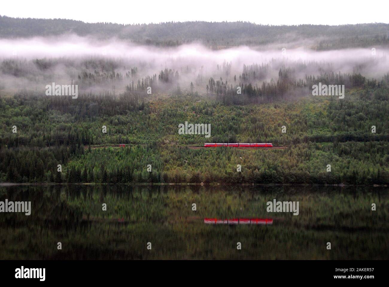 Norvegia, coyntryside da Oslo a Bergen 01 Foto Stock