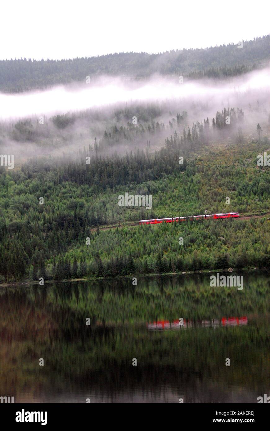 Norvegia, coyntryside da Oslo a Bergen 01 Foto Stock