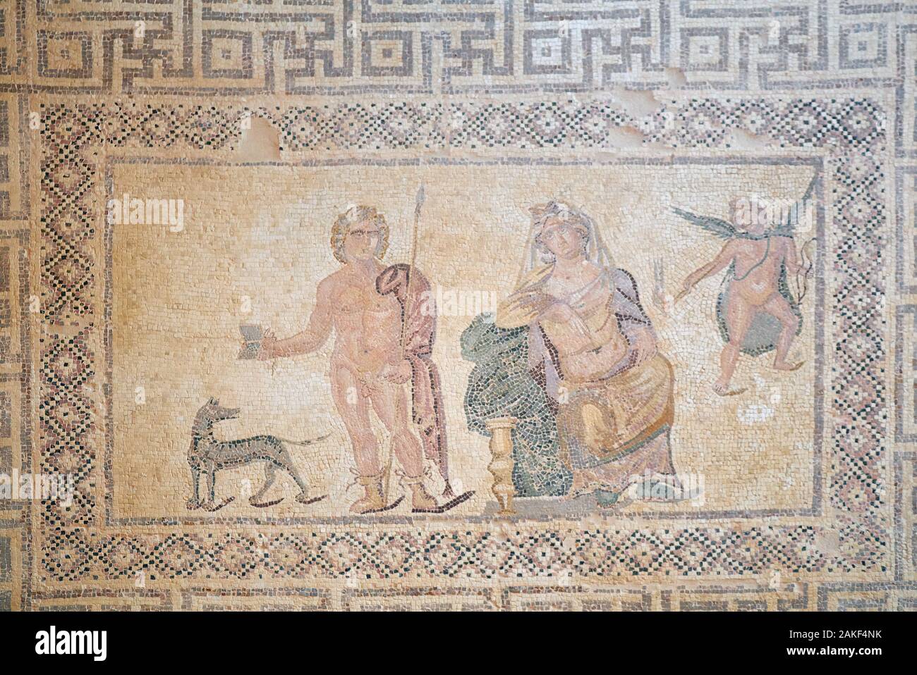 PAPHOS, Cipro - Giugno 08, 2018: pavimento a mosaico raffigurante la caccia Hippolytos, Phèdre seduta sul trone fino e cupido dirigere al suo cuore. Villa di Foto Stock