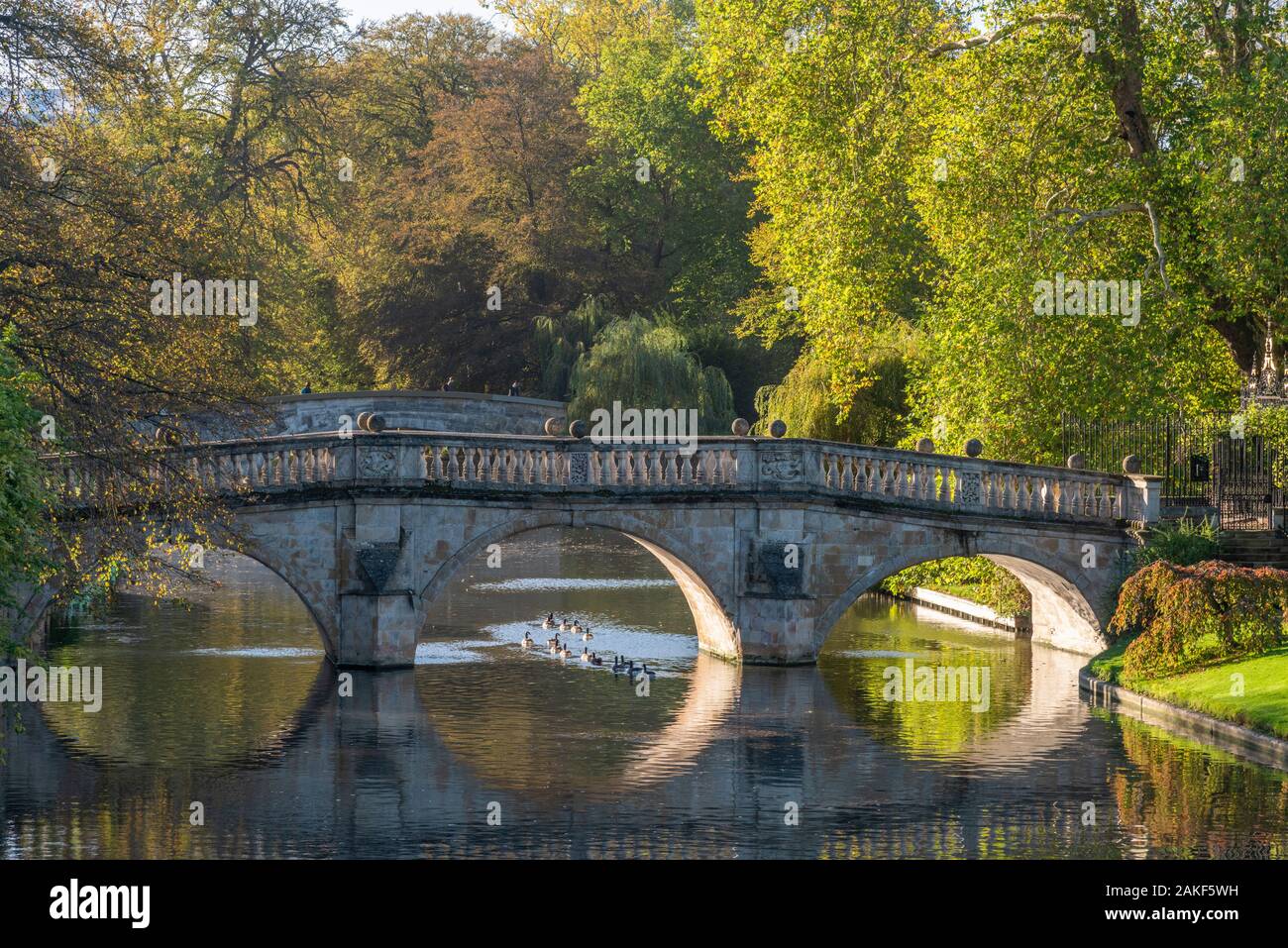 Regno Unito, Inghilterra, Cambridgeshire, Cambridge, spalle, Clare ponte sul fiume Cam Foto Stock