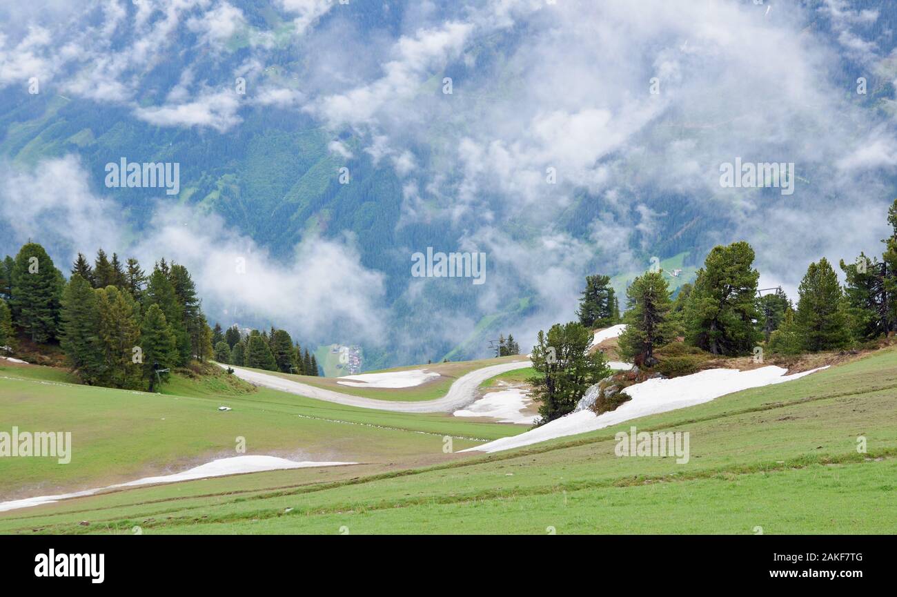 Austria Europa paesaggio di montagna e la scena naturale terre di erba e alberi Foto Stock