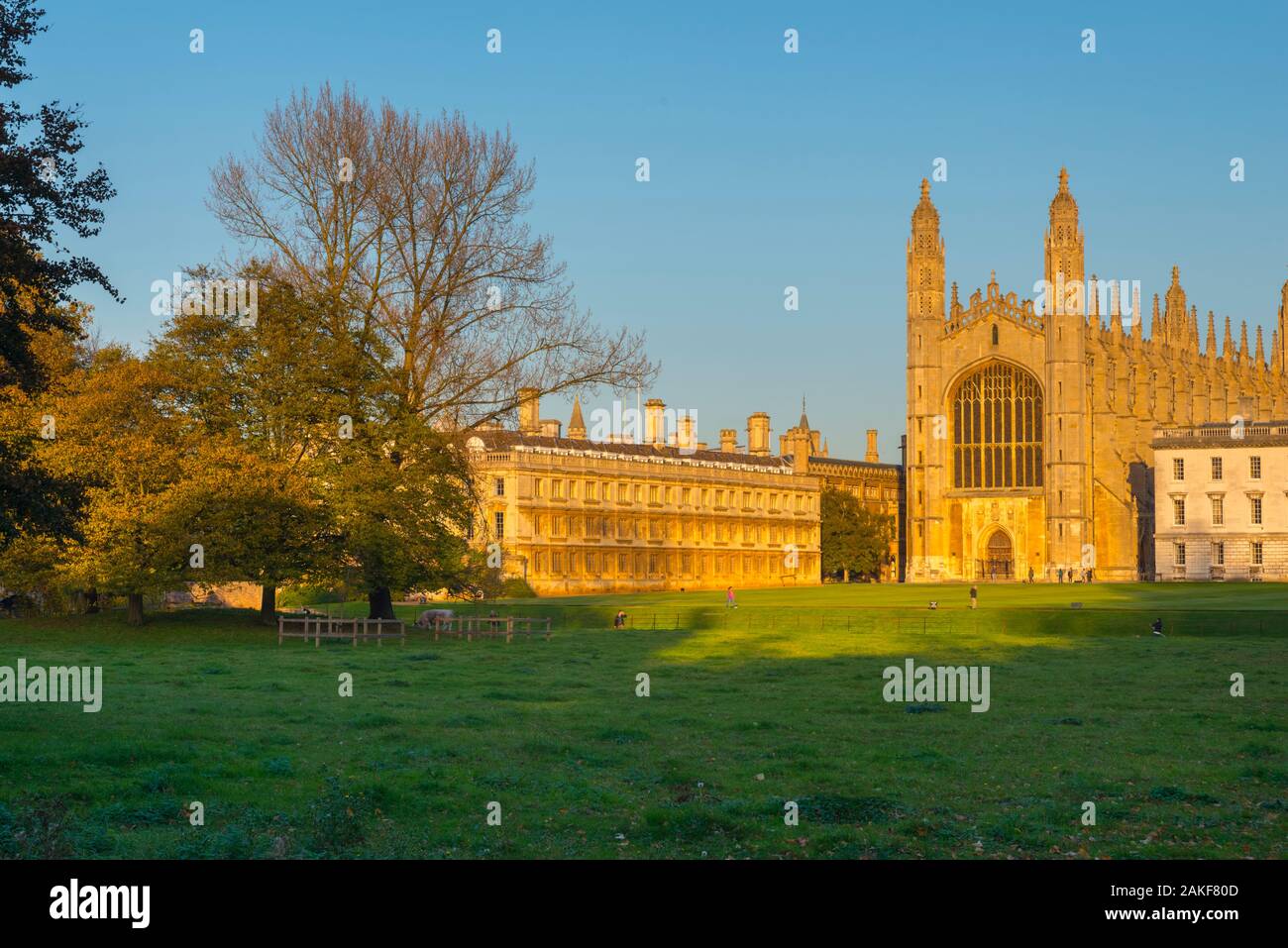 Regno Unito, Inghilterra, Cambridgeshire, Cambridge, spalle, King's College e King's College Chapel Foto Stock