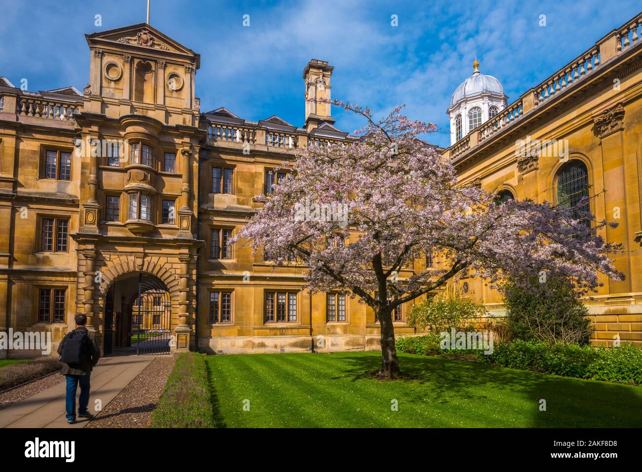 Regno Unito, Inghilterra, Cambridgeshire, Cambridge, Clare College Foto Stock