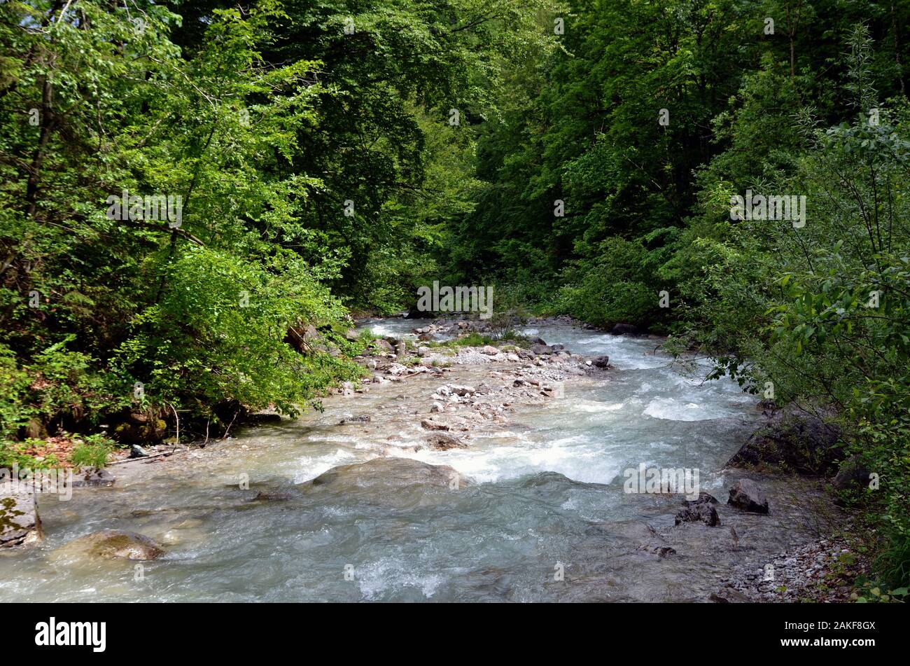 Il fiume selvaggio che corre attraverso la foresta in Tirol Austria Europa. Foto Stock