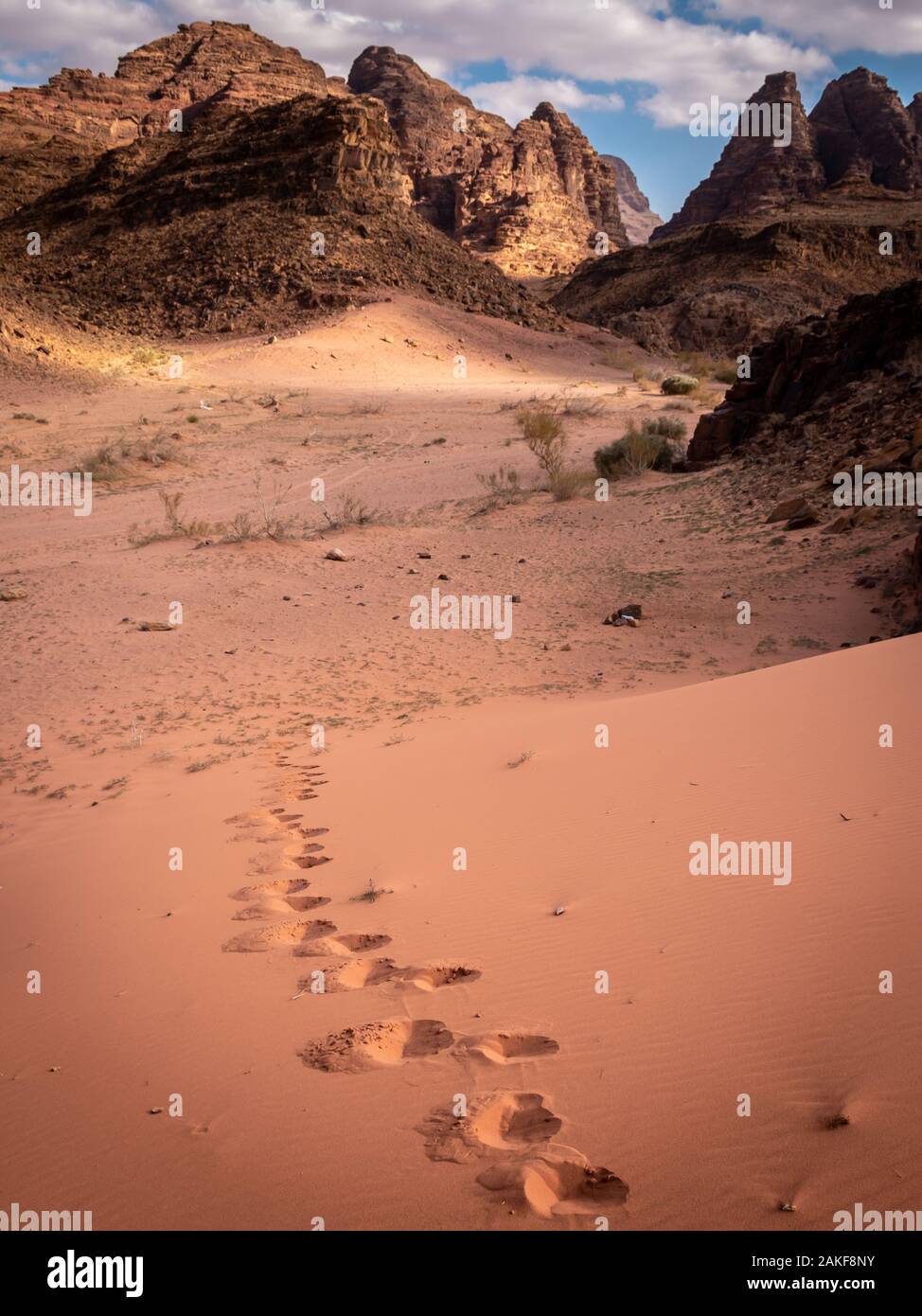 Orme camminare da solo nel Wadi Rum desert, Giordania Foto Stock
