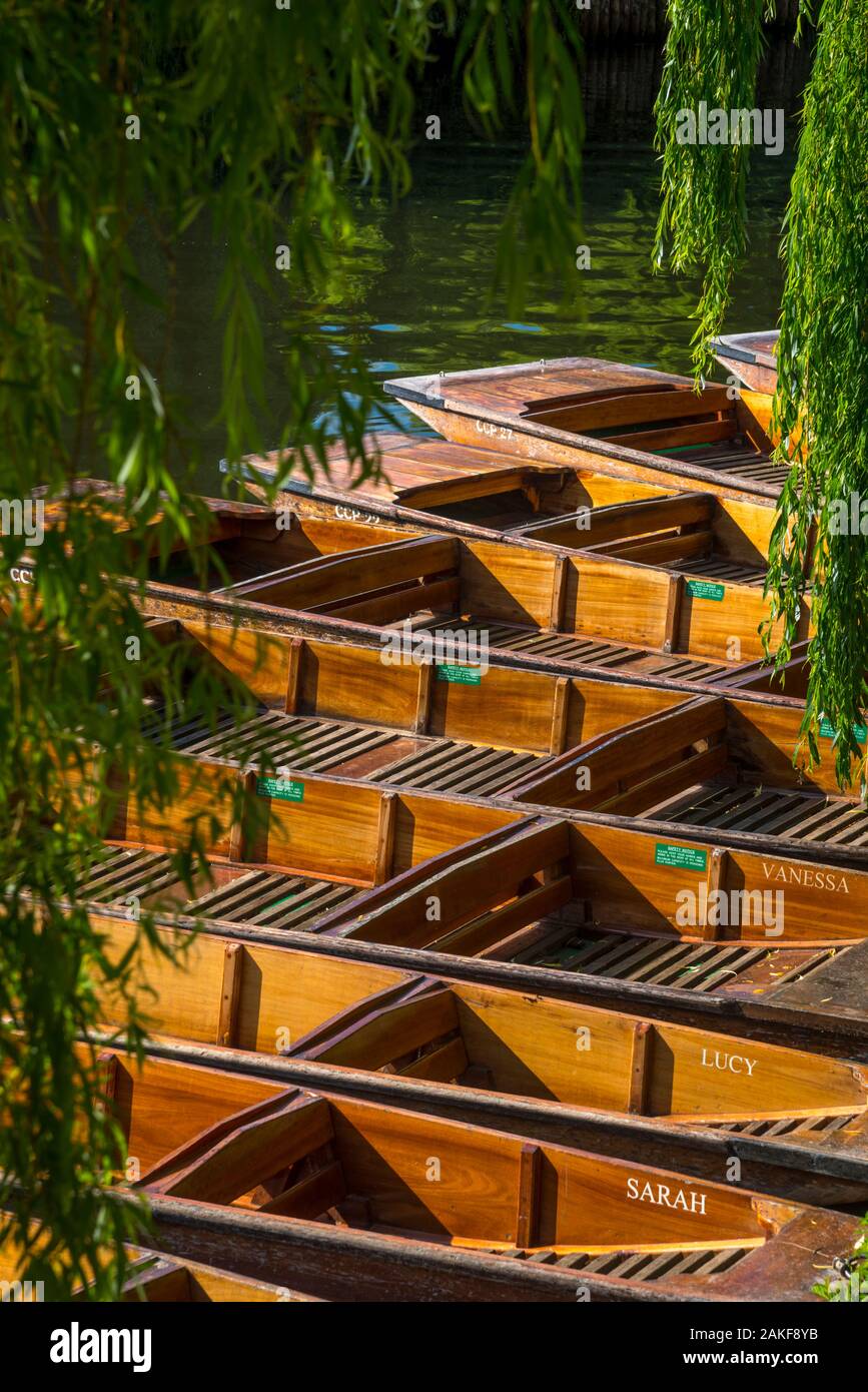 Regno Unito, Inghilterra, Cambridgeshire, Cambridge, fiume Cam e il Mulino di stagno, Punting Foto Stock