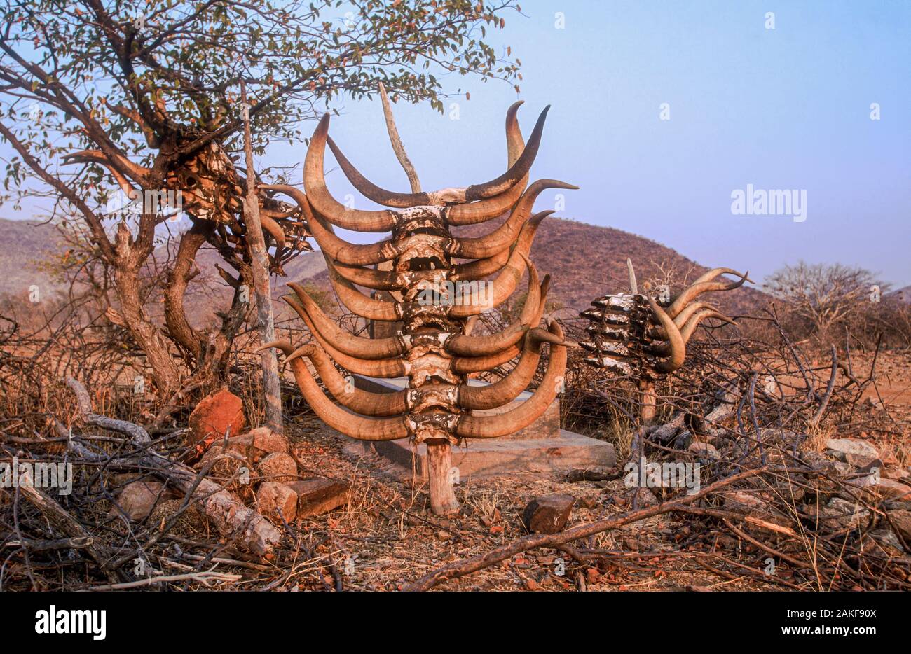Tomba di un importante leader del clan con teschi bovini macellati sulla tomba di servirlo nella vita ultraterrena. Villaggio Himba, Kaokoveld, Namibia, Africa Foto Stock