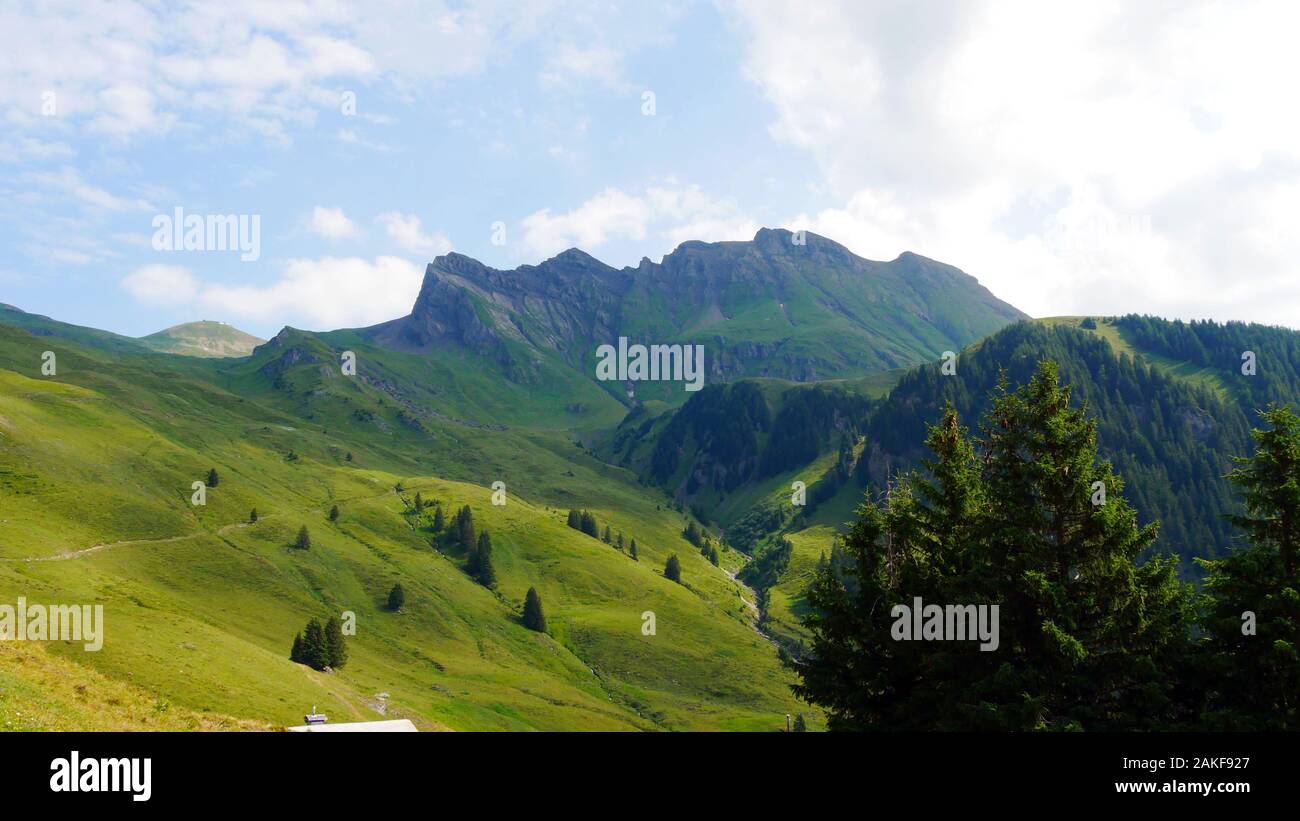 Panorama delle Alpi Svizzere nell Oberland bernese Foto Stock