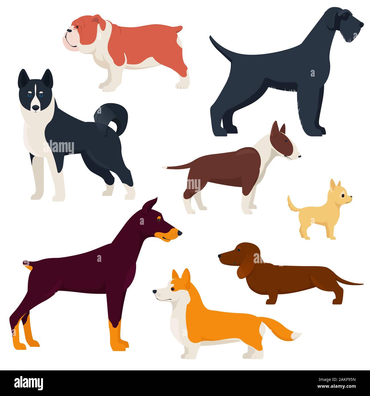 Set di cani di razze diverse Illustrazione Vettoriale