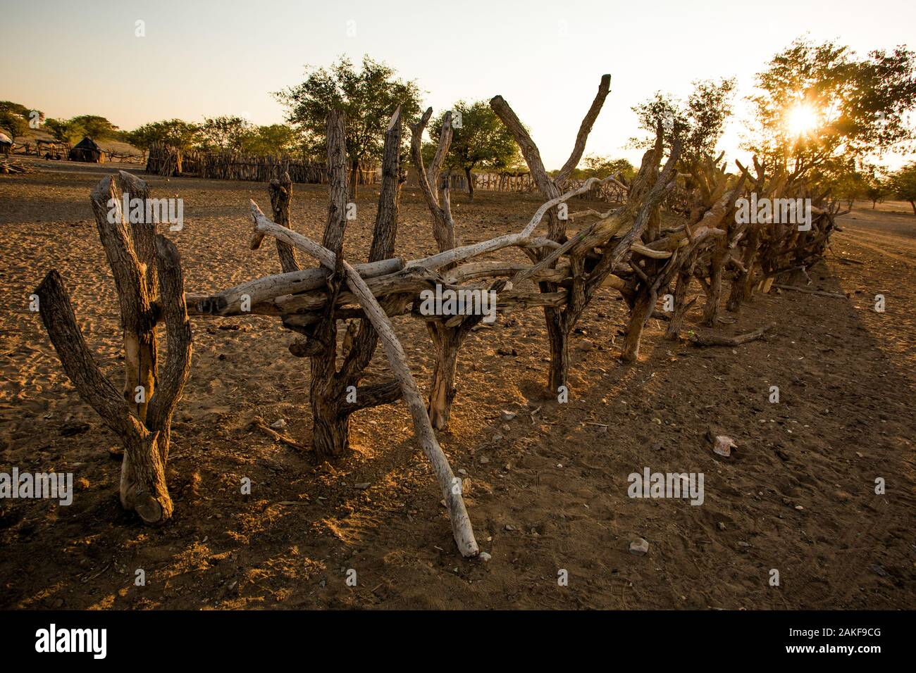La recinzione di legno intorno a un villaggio Himba , Kaokoland, Kaokoveld, Namibia Foto Stock